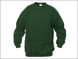 Sweatshirt-b�rn
