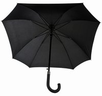 Paraply-kurvet-hndtag