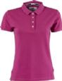 Dame college polo shirt