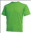 Klassisk voksen t-shirt farvet