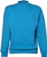 Unisex heavy sweatshirt